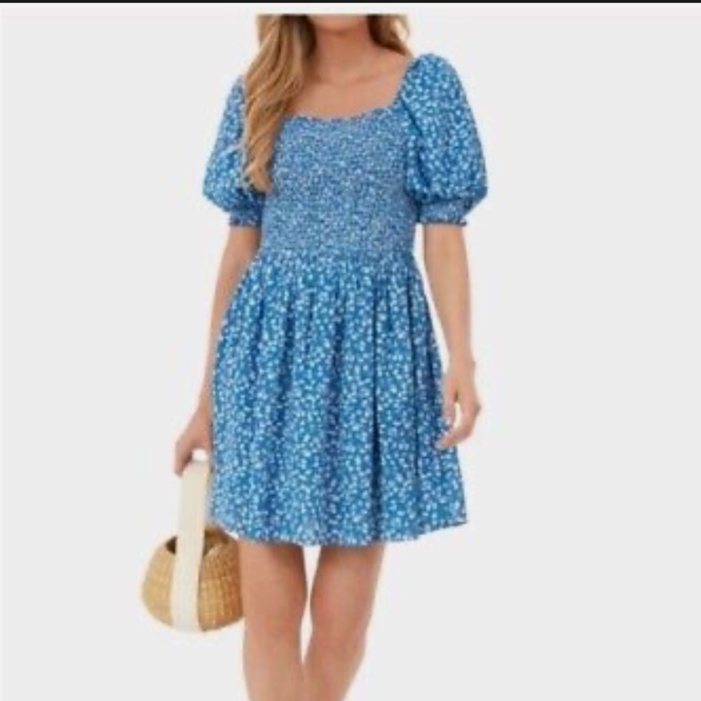 Tuckernuck Hyacinth House Blue Ditsy Floral Pai Mini Dress Size Small - Picture 2 of 8